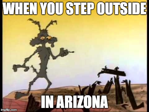 wile e burnt | WHEN YOU STEP OUTSIDE; IN ARIZONA | image tagged in wile e burnt | made w/ Imgflip meme maker