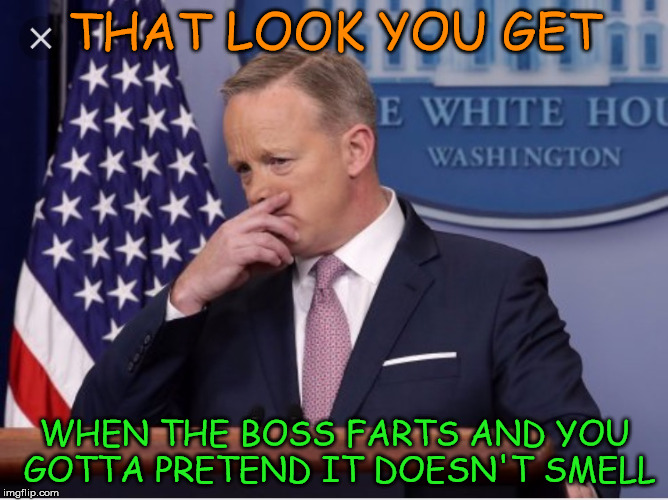 Spicer's job summed up in one sentence | THAT LOOK YOU GET; WHEN THE BOSS FARTS AND YOU GOTTA PRETEND IT DOESN'T SMELL | image tagged in sean spicer | made w/ Imgflip meme maker