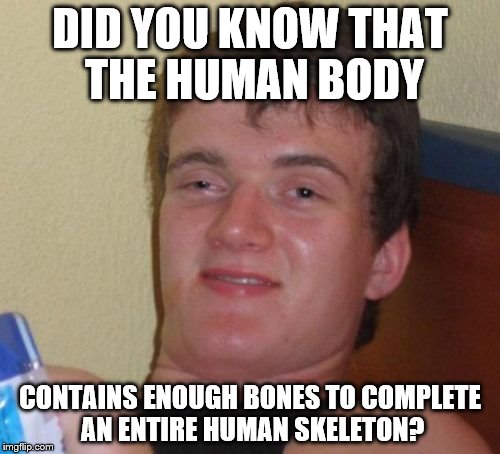 Did you know? | DID YOU KNOW THAT THE HUMAN BODY; CONTAINS ENOUGH BONES TO COMPLETE AN ENTIRE HUMAN SKELETON? | image tagged in memes,10 guy | made w/ Imgflip meme maker