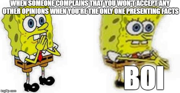 Give Me a Reason To | WHEN SOMEONE COMPLAINS THAT YOU WON'T ACCEPT ANY OTHER OPINIONS WHEN YOU'RE THE ONLY ONE PRESENTING FACTS; BOI | image tagged in spongebob inhale boi,give me a reason to,opeenions | made w/ Imgflip meme maker