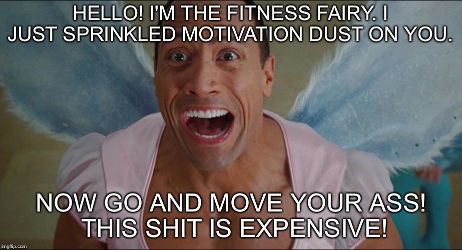 Motivation fairy is getting all up in my grill! | HELLO! I'M THE FITNESS FAIRY. I JUST SPRINKLED MOTIVATION DUST ON YOU. NOW GO AND MOVE YOUR ASS! THIS SHIT IS EXPENSIVE! | image tagged in fitness,tooth fairy,motivation,the rock,fairy,gym memes | made w/ Imgflip meme maker