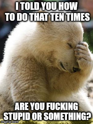 Facepalm Bear Meme | I TOLD YOU HOW TO DO THAT TEN TIMES; ARE YOU FUCKING STUPID OR SOMETHING? | image tagged in memes,facepalm bear | made w/ Imgflip meme maker