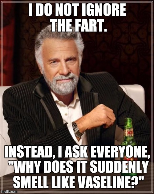 The Most Interesting Man In The World Meme | I DO NOT IGNORE THE FART. INSTEAD, I ASK EVERYONE, "WHY DOES IT SUDDENLY SMELL LIKE VASELINE?" | image tagged in memes,the most interesting man in the world | made w/ Imgflip meme maker