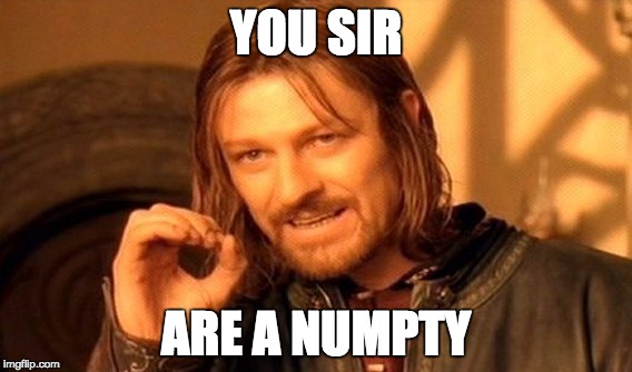 One Does Not Simply Meme | YOU SIR; ARE A NUMPTY | image tagged in memes,one does not simply | made w/ Imgflip meme maker