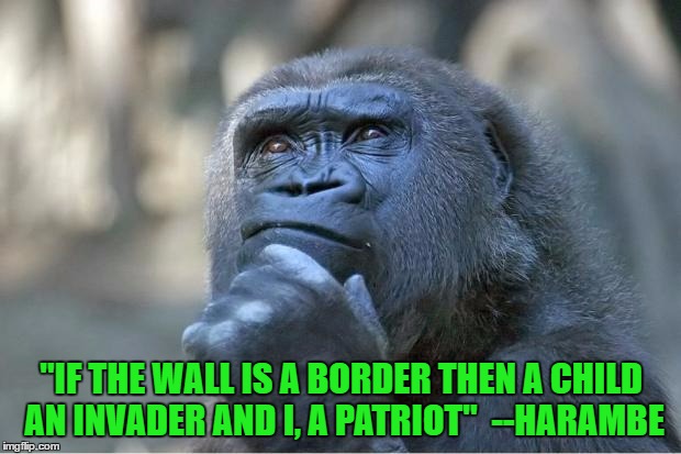 Perspective | "IF THE WALL IS A BORDER THEN A CHILD AN INVADER AND I, A PATRIOT"  --HARAMBE | image tagged in memes,the great harambe | made w/ Imgflip meme maker