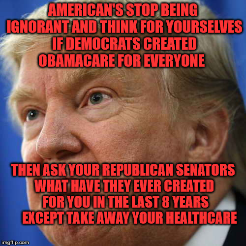 IMPOTUS | AMERICAN'S STOP BEING IGNORANT AND THINK FOR YOURSELVES IF DEMOCRATS CREATED OBAMACARE FOR EVERYONE; THEN ASK YOUR REPUBLICAN SENATORS WHAT HAVE THEY EVER CREATED  FOR YOU IN THE LAST 8 YEARS     EXCEPT TAKE AWAY YOUR HEALTHCARE | image tagged in impotus | made w/ Imgflip meme maker
