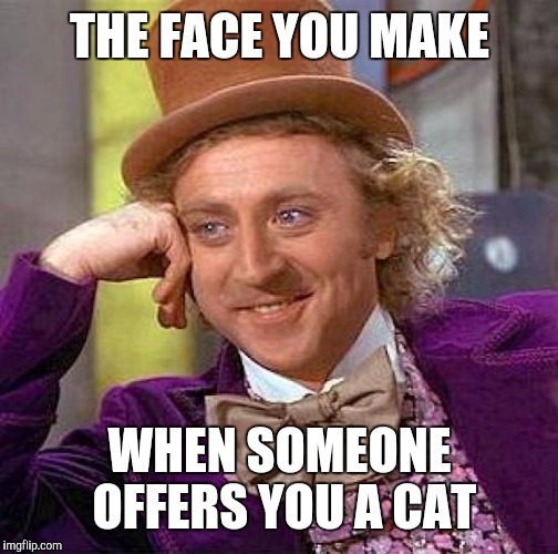 Creepy Condescending Wonka Meme | THE FACE YOU MAKE WHEN SOMEONE OFFERS YOU A CAT | image tagged in memes,creepy condescending wonka | made w/ Imgflip meme maker