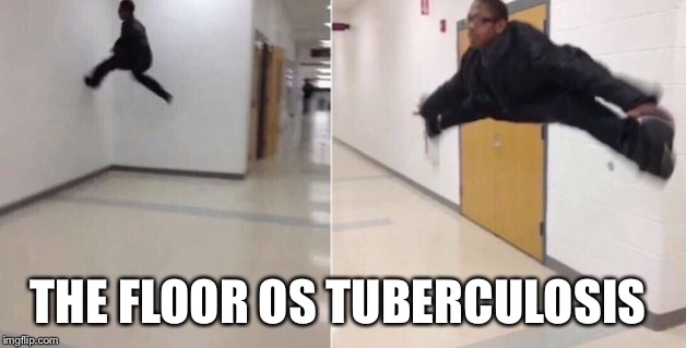 The floor is | THE FLOOR OS TUBERCULOSIS | image tagged in the floor is | made w/ Imgflip meme maker