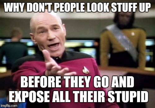 Picard Wtf Meme | WHY DON'T PEOPLE LOOK STUFF UP; BEFORE THEY GO AND EXPOSE ALL THEIR STUPID | image tagged in memes,picard wtf | made w/ Imgflip meme maker