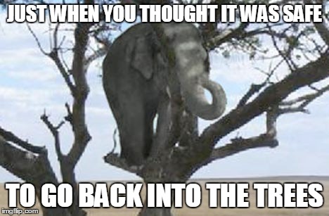 JUST WHEN YOU THOUGHT IT WAS SAFE TO GO BACK INTO THE TREES | made w/ Imgflip meme maker