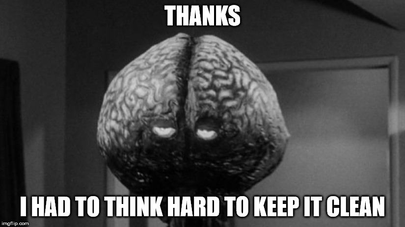Brainy Brian | THANKS I HAD TO THINK HARD TO KEEP IT CLEAN | image tagged in brainy brian | made w/ Imgflip meme maker