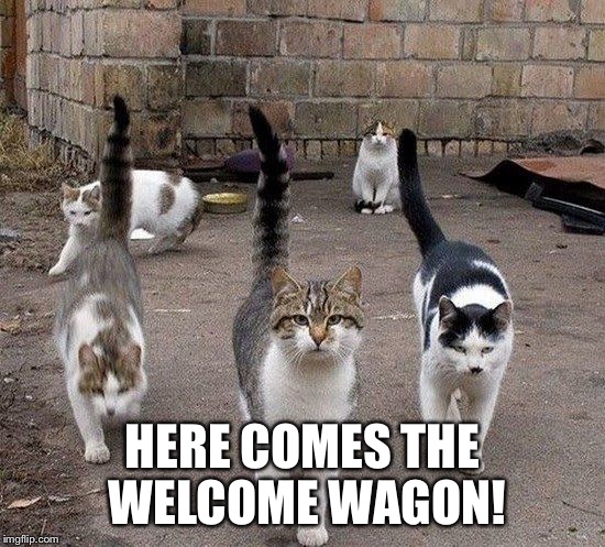 HERE COMES THE WELCOME WAGON! | made w/ Imgflip meme maker