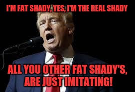 Peanut MNM | I'M FAT SHADY, YES, I'M THE REAL SHADY; ALL YOU OTHER FAT SHADY'S, ARE JUST IMITATING! | image tagged in trump rap,memes,funny,funny memes,dank memes | made w/ Imgflip meme maker