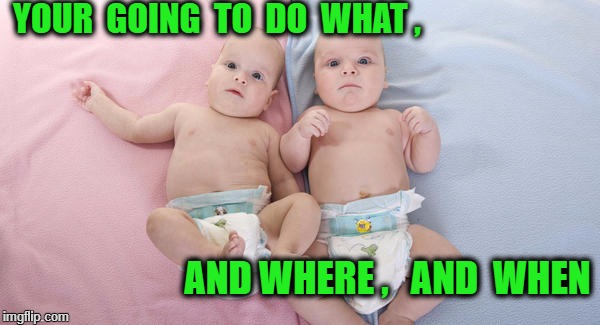 What Where When | YOUR  GOING  TO  DO  WHAT , AND WHERE ,   AND  WHEN | image tagged in freaked baby | made w/ Imgflip meme maker