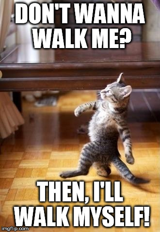 Cool Cat Stroll Meme | DON'T WANNA WALK ME? THEN, I'LL WALK MYSELF! | image tagged in memes,cool cat stroll | made w/ Imgflip meme maker