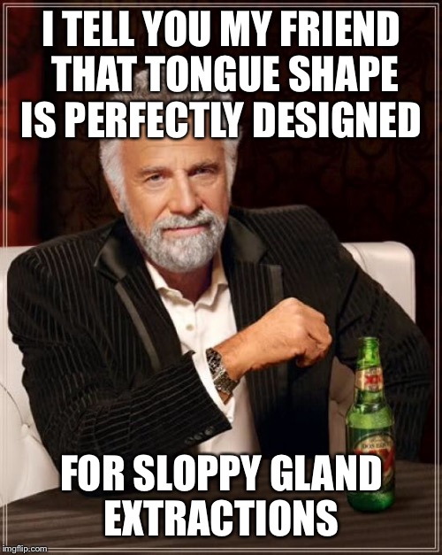 The Most Interesting Man In The World Meme | I TELL YOU MY FRIEND THAT TONGUE SHAPE IS PERFECTLY DESIGNED FOR SLOPPY GLAND EXTRACTIONS | image tagged in memes,the most interesting man in the world | made w/ Imgflip meme maker