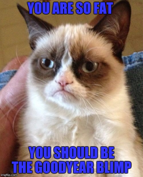 Blimps | YOU ARE SO FAT; YOU SHOULD BE THE GOODYEAR BLIMP | image tagged in memes,grumpy cat | made w/ Imgflip meme maker