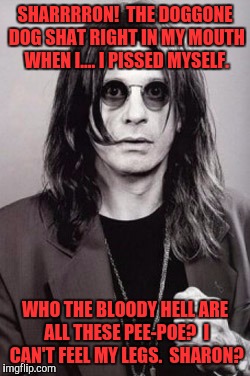 Ozzy | SHARRRRON!  THE DOGGONE DOG SHAT RIGHT IN MY MOUTH WHEN I.... I PISSED MYSELF. WHO THE BLOODY HELL ARE ALL THESE PEE-POE?  I CAN'T FEEL MY LEGS.  SHARON? | image tagged in ozzy | made w/ Imgflip meme maker