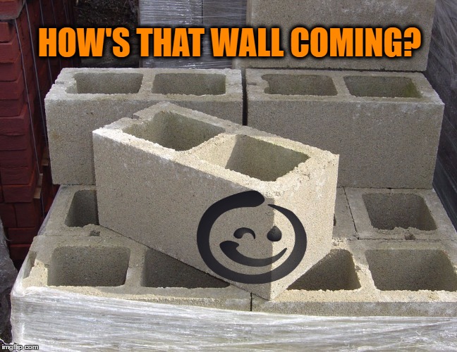 How's That Wall Coming? | HOW'S THAT WALL COMING? | image tagged in trump,border wall,trump wall | made w/ Imgflip meme maker