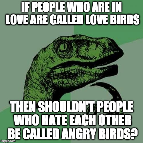 Deep thoughts.... | IF PEOPLE WHO ARE IN LOVE ARE CALLED LOVE BIRDS; THEN SHOULDN'T PEOPLE WHO HATE EACH OTHER BE CALLED ANGRY BIRDS? | image tagged in memes,philosoraptor,angry birds,love birds,iwanttobebacon,iwanttobebaconcom | made w/ Imgflip meme maker