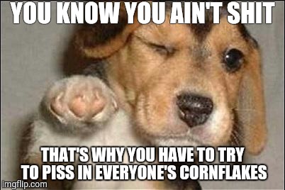 good job dog | YOU KNOW YOU AIN'T SHIT; THAT'S WHY YOU HAVE TO TRY TO PISS IN EVERYONE'S CORNFLAKES | image tagged in good job dog | made w/ Imgflip meme maker