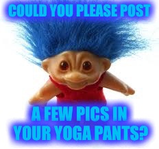 Troll | COULD YOU PLEASE POST A FEW PICS IN YOUR YOGA PANTS? | image tagged in troll | made w/ Imgflip meme maker