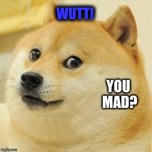 Doge Meme | WUTT! YOU MAD? | image tagged in memes,doge | made w/ Imgflip meme maker