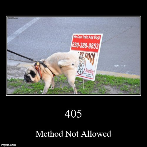 HTTP 405 | image tagged in funny,demotivationals | made w/ Imgflip demotivational maker