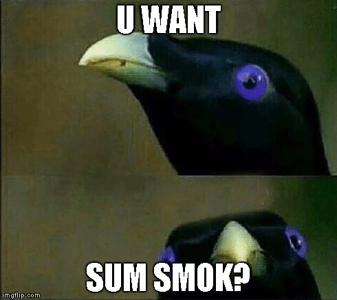 Английского языка стихотворение what is your. Стих на английском языке question. You want some. You boyfriend мемы. You want sum fuk.