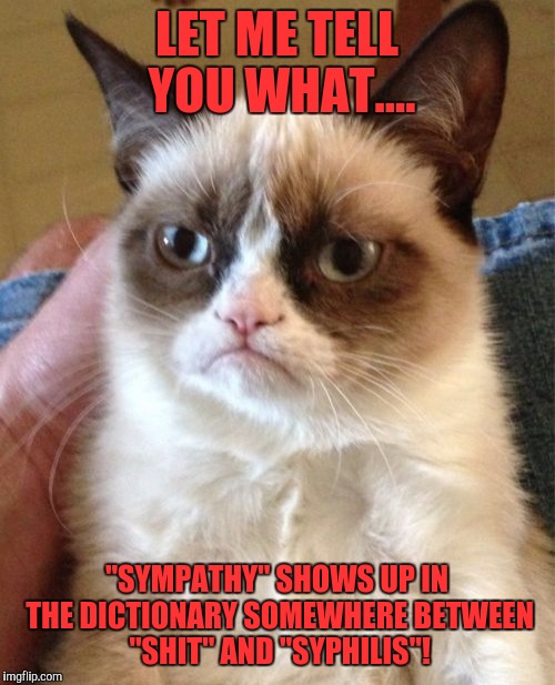 Grumpy Cat | LET ME TELL YOU WHAT.... "SYMPATHY" SHOWS UP IN THE DICTIONARY SOMEWHERE BETWEEN "SHIT" AND "SYPHILIS"! | image tagged in memes,grumpy cat | made w/ Imgflip meme maker