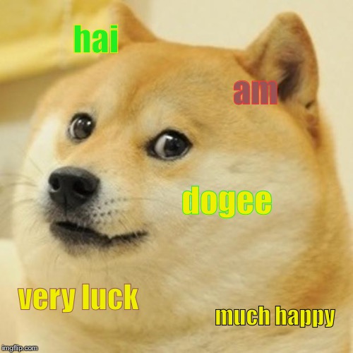 happy doge | hai; am; dogee; very luck; much happy | image tagged in memes,doge | made w/ Imgflip meme maker