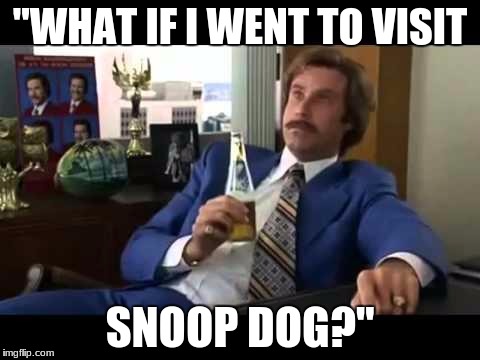 Well That Escalated Quickly Meme | "WHAT IF I WENT TO VISIT; SNOOP DOG?" | image tagged in memes,well that escalated quickly | made w/ Imgflip meme maker