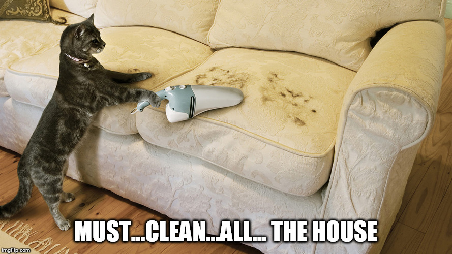 MUST...CLEAN...ALL... THE HOUSE | made w/ Imgflip meme maker