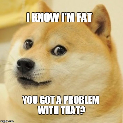 Doge Meme |  I KNOW I'M FAT; YOU GOT A PROBLEM WITH THAT? | image tagged in memes,doge | made w/ Imgflip meme maker
