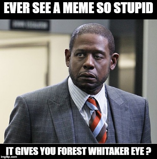 EVER SEE A MEME SO STUPID; IT GIVES YOU FOREST WHITAKER EYE ? | image tagged in forest whitaker | made w/ Imgflip meme maker