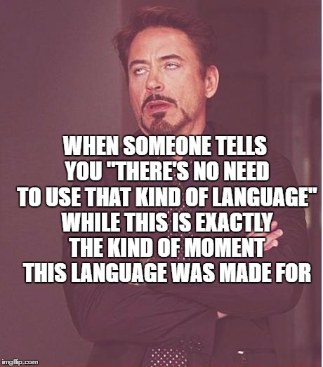 Face You Make Robert Downey Jr Meme | WHEN SOMEONE TELLS YOU "THERE'S NO NEED TO USE THAT KIND OF LANGUAGE" WHILE THIS IS EXACTLY THE KIND OF MOMENT THIS LANGUAGE WAS MADE FOR | image tagged in memes,face you make robert downey jr | made w/ Imgflip meme maker
