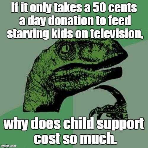 Philosoraptor Meme | If it only takes a 50 cents a day donation to feed starving kids on television, why does child support cost so much. | image tagged in memes,philosoraptor | made w/ Imgflip meme maker