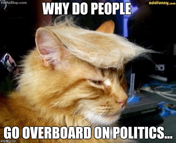 why just why | WHY DO PEOPLE; GO OVERBOARD ON POLITICS... | image tagged in donald trump cat,memes,funny | made w/ Imgflip meme maker