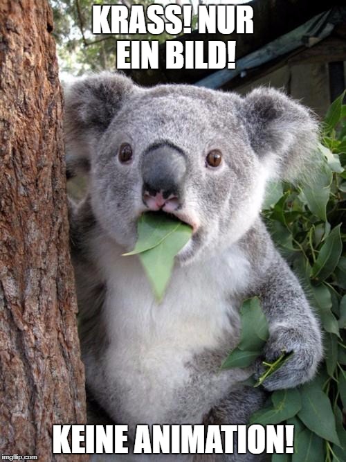 Surprised Koala Meme | KRASS! NUR EIN BILD! KEINE ANIMATION! | image tagged in memes,surprised koala | made w/ Imgflip meme maker