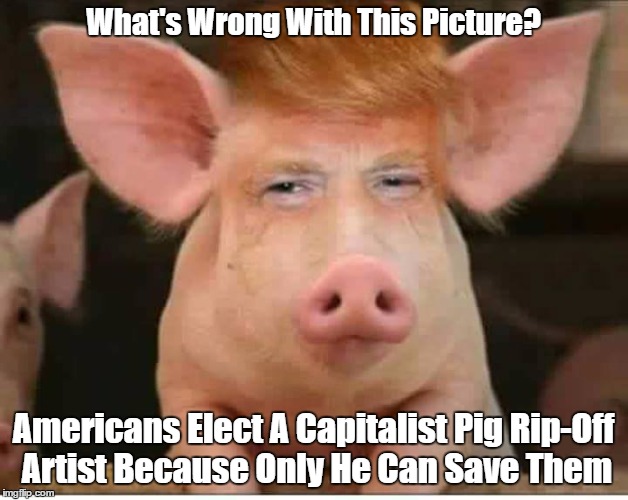"What's Wrong With This Picture Of Trump?" | What's Wrong With This Picture? Americans Elect A Capitalist Pig Rip-Off Artist Because Only He Can Save Them | image tagged in capitalist pig,trump university felon,trump rips off contractors and workers,dishonorable donald,dishonest donald,deceitful dona | made w/ Imgflip meme maker