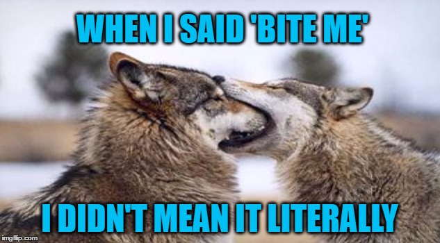 Bite Me | WHEN I SAID 'BITE ME'; I DIDN'T MEAN IT LITERALLY | image tagged in bite,wolf,bite me | made w/ Imgflip meme maker