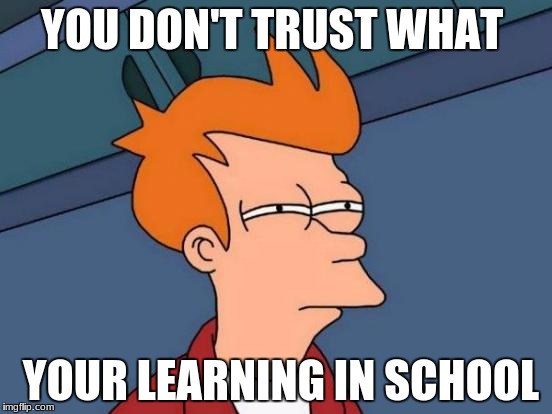 Futurama Fry | YOU DON'T TRUST WHAT; YOUR LEARNING IN SCHOOL | image tagged in memes,futurama fry | made w/ Imgflip meme maker