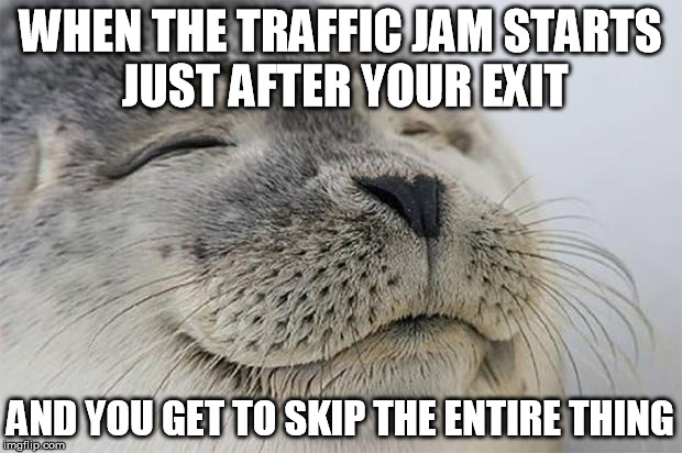 Satisfied Seal | WHEN THE TRAFFIC JAM STARTS JUST AFTER YOUR EXIT; AND YOU GET TO SKIP THE ENTIRE THING | image tagged in memes,satisfied seal,AdviceAnimals | made w/ Imgflip meme maker
