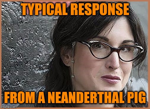 feminist Zeisler | TYPICAL RESPONSE FROM A NEANDERTHAL PIG | image tagged in feminist zeisler | made w/ Imgflip meme maker