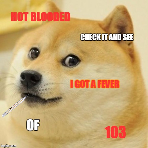 Meanwhile in Phoenix and other places on the west coast | HOT BLOODED; CHECK IT AND SEE; I GOT A FEVER; OF; 103 | image tagged in memes,doge,heatwave | made w/ Imgflip meme maker