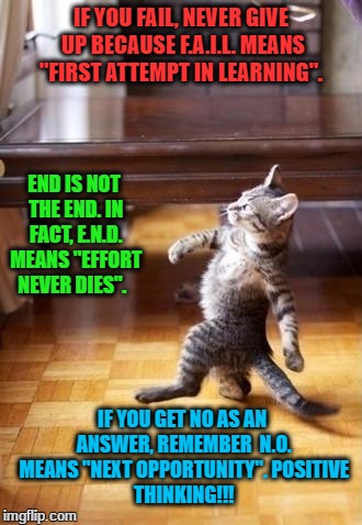 Positive Thinking!!! | IF YOU FAIL, NEVER GIVE UP BECAUSE F.A.I.L. MEANS "FIRST ATTEMPT IN LEARNING". END IS NOT THE END. IN FACT, E.N.D. MEANS "EFFORT NEVER DIES". IF YOU GET NO AS AN ANSWER, REMEMBER 
N.O. MEANS "NEXT OPPORTUNITY".
POSITIVE THINKING!!! | image tagged in memes,cool cat stroll,fail,learning,end,effort | made w/ Imgflip meme maker