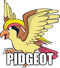 PIDGEOT | image tagged in pidgeot | made w/ Imgflip meme maker