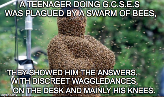 I don't think he can see the exam paper like this. | A TEENAGER DOING G.C.S.E.S WAS PLAGUED BY A SWARM OF BEES, THEY SHOWED HIM THE ANSWERS, 
WITH DISCREET WAGGLEDANCES, ON THE DESK AND MAINLY HIS KNEES. | image tagged in meme,limerick week,bees,exams | made w/ Imgflip meme maker