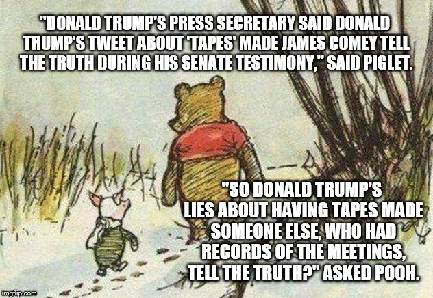 Pooh Piglet | "DONALD TRUMP'S PRESS SECRETARY SAID DONALD TRUMP'S TWEET ABOUT 'TAPES' MADE JAMES COMEY TELL THE TRUTH DURING HIS SENATE TESTIMONY," SAID PIGLET. "SO DONALD TRUMP'S LIES ABOUT HAVING TAPES MADE SOMEONE ELSE, WHO HAD RECORDS OF THE MEETINGS, TELL THE TRUTH?" ASKED POOH. | image tagged in pooh piglet | made w/ Imgflip meme maker