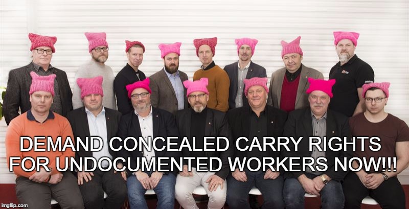 Gun rights for pussies | DEMAND CONCEALED CARRY RIGHTS FOR UNDOCUMENTED WORKERS NOW!!! | image tagged in pussy hat,concealed carry,undocumented workers,illegal immigrants,gun rights for pussies | made w/ Imgflip meme maker